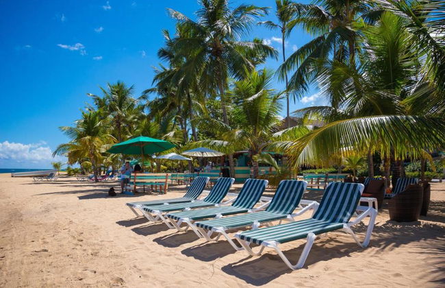 Hotel Playa Colibri - Foto 6