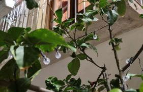 In Parva Domus - Foto 17