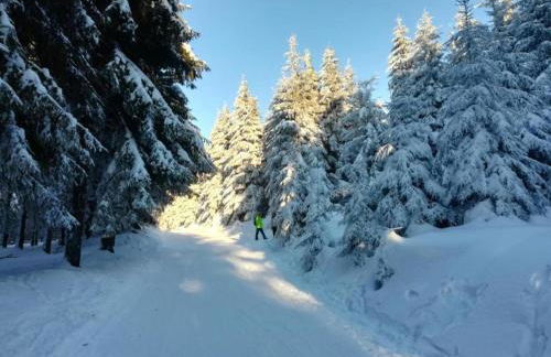 Einladende Ferienwohnung mit Garten - Foto 56