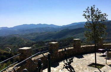 Centro de Arte - Foto 13