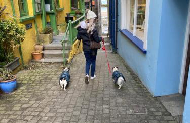 Adorable bedsit for you, partner and your pet! - Foto 52