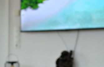 Schwarzwald Lahr Europapark Penthouse Sunshine - Foto 15