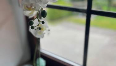 Suite 3 SZ - Lichtenberg - Foto 4