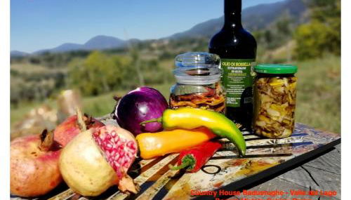 Baduerughe - ValledelLago - Foto 5, Garden view