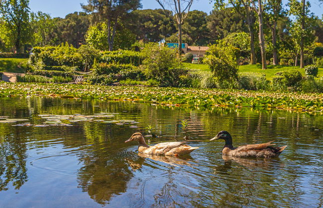 Les Rivages de Coudoulière - Foto 41