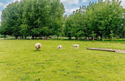 10 Bed in Barsham oc-rrest - Photo 37