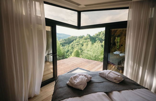 PurpleVague - Photo 7