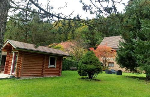 Haus am Wolfsbach - Foto 13