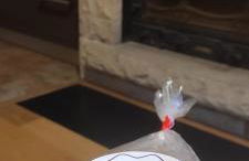 AlaiSuberri - Foto 13