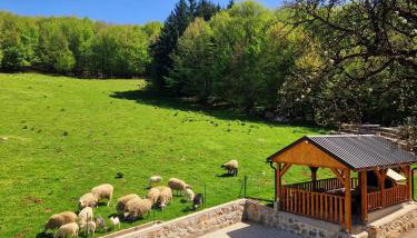 Apartman Silvija - Foto 4