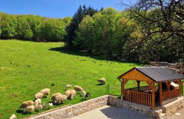 Apartman Silvija - Foto 4