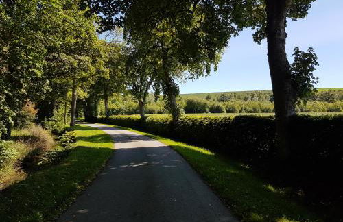 No.3 On The Square - Foto 29