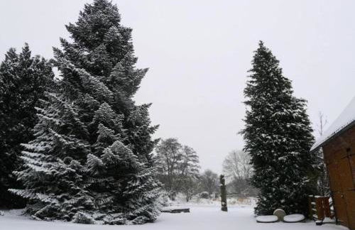 Wohnung im Teutoburger Wald Externsteine - Foto 72