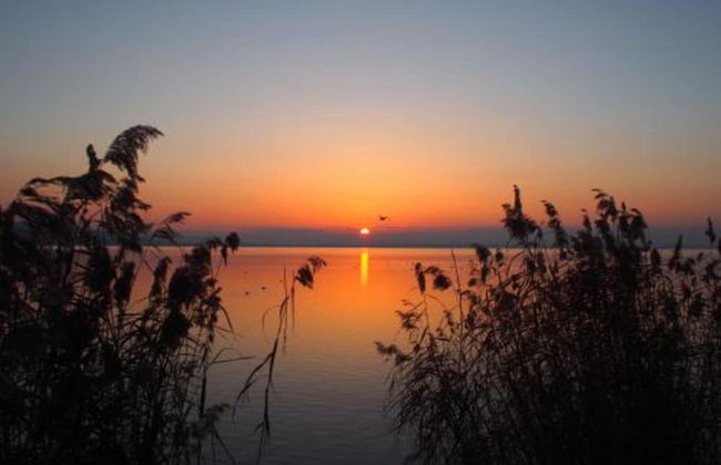 Holiday Home in Magione Near Lake Trasimeno - Foto 21