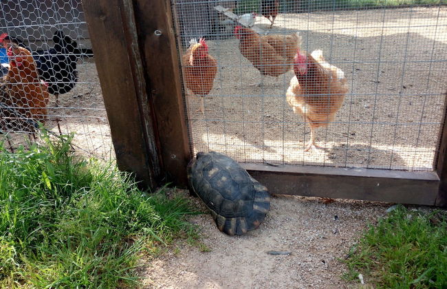 Tenuta Petra Bianca - Foto 25