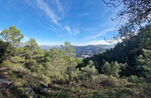 El Pitijopo - Foto 48