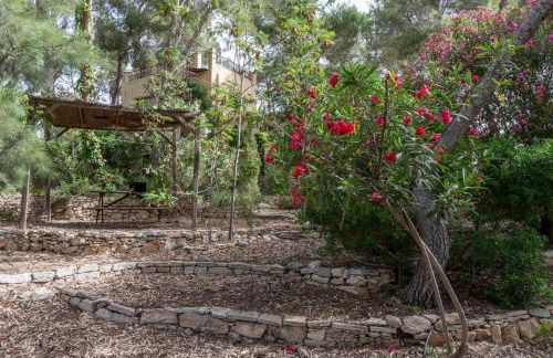 Las Pedrizas - Foto 26