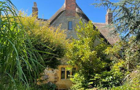 The Burrow - Photo 2