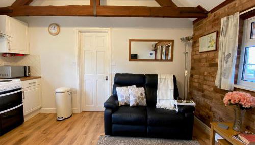 Brown Snout - Foto 3