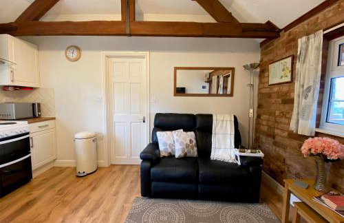 Brown Snout - Foto 3