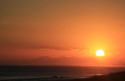 le bon vivant - Foto 37