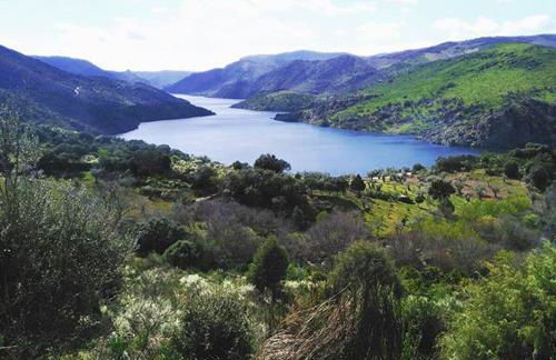 Charming House in Pereña de la Ribera - Foto 12