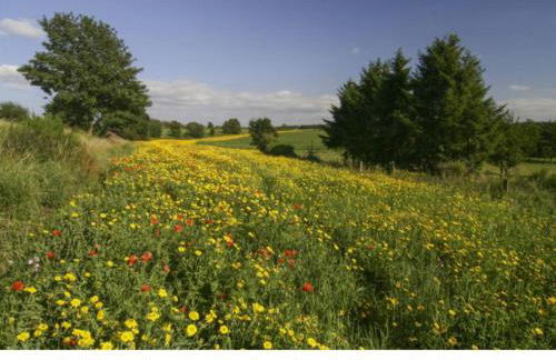 Ferienwohnung Gross A - Foto 18