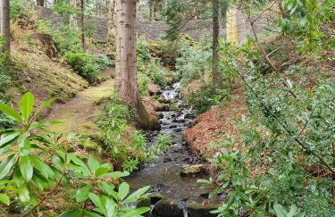 Gardeners cottage - Foto 12