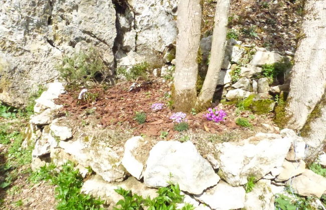 dtente sky lodge - Foto 42