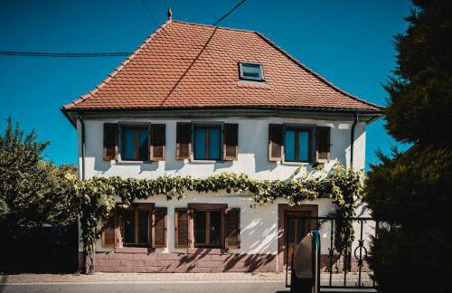 Casa Kaiserstuhl Spätburgunder - Foto 1