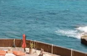 La petite crique - Foto 27