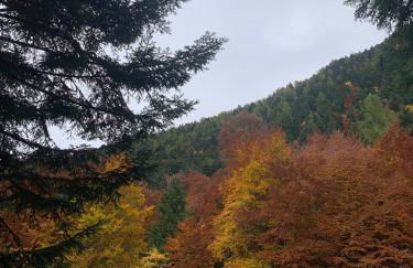 Gîtes les COMBES - Foto 25