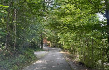 Spacious & Bright Lake Cabin, pet friendly, 8 beds - Foto 19