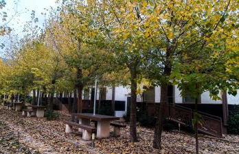 CASAS RURALES Vado del Rio Tus - Foto 39