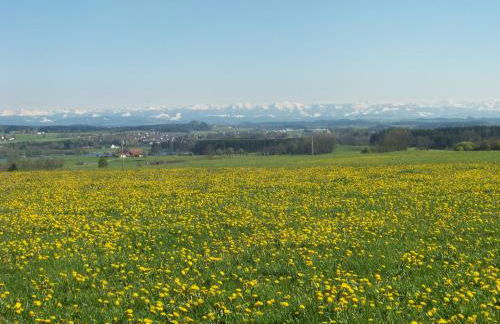 Ferienhaus Brunnenweiher - Foto 10