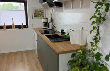 Moderne Wohnung in ruhiger Lage - Foto 9