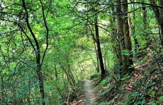 CaMagnolia Apartment - Foto 35