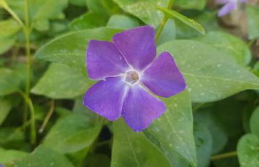 Sofia Mountain Getaway - Photo 5