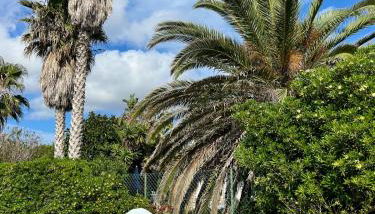 Kasa K - Slowlife in Binibeca - Foto 2