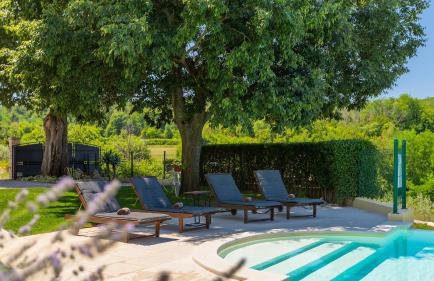 Rustic villa Zvonar with pool in Motovun - Foto 12