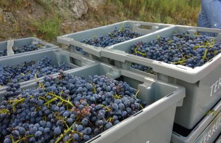 Casa da Eva at Terrus Winery - Foto 2