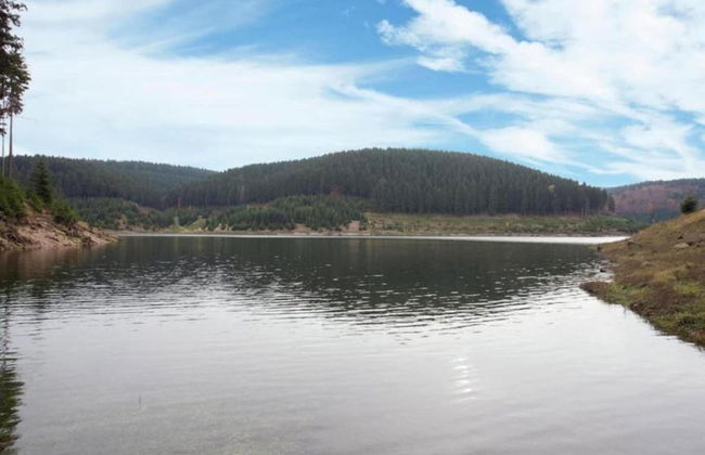 Peaceful Forest Getaway - Foto 28