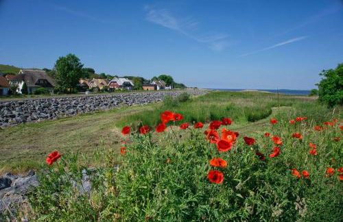 Ferienhaus Min Hüsung - Foto 13
