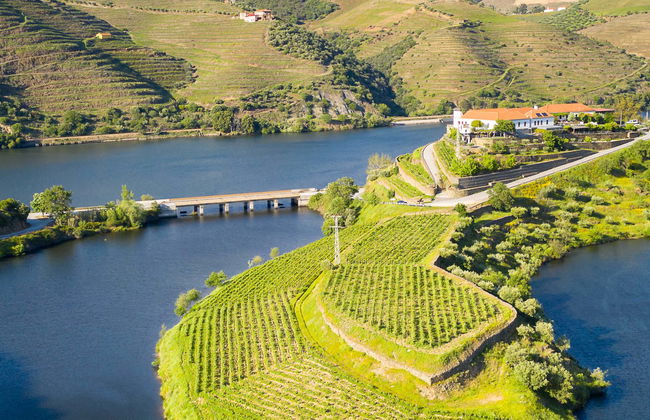 Visita à adega Quinta do Tedo - Foto 1