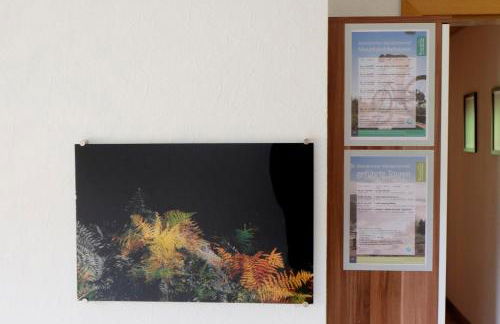 SchwarzWild - Ferienwohnung und Ferienzimmer - Foto 68