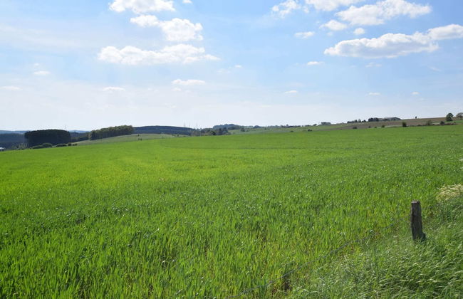 Comfortable Cottage Near Lake Cherapont - Photo 31