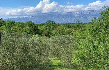 Cherry apartment - Photo 8