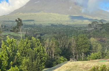 Pico Terrace - Photo 64