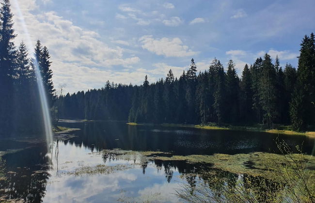 Mountain Chalet Lbh027 - Photo 33