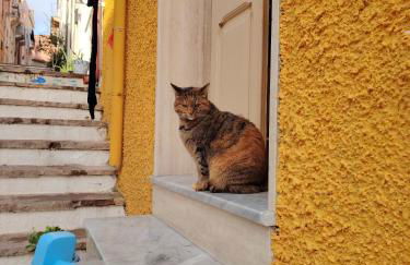 Casa Fiorenza - Da e Nònne - Foto 50